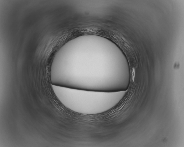 X0000095921395200801110843