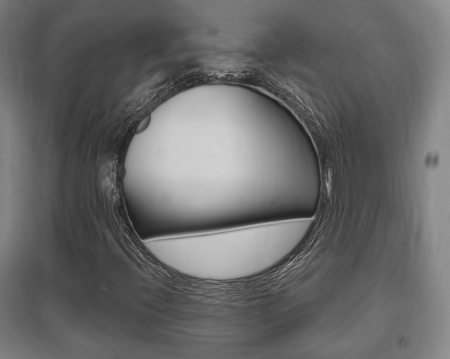 X0000095921396200801110843