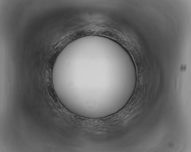X0000095921397200801110843