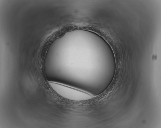 X0000095921398200801110843