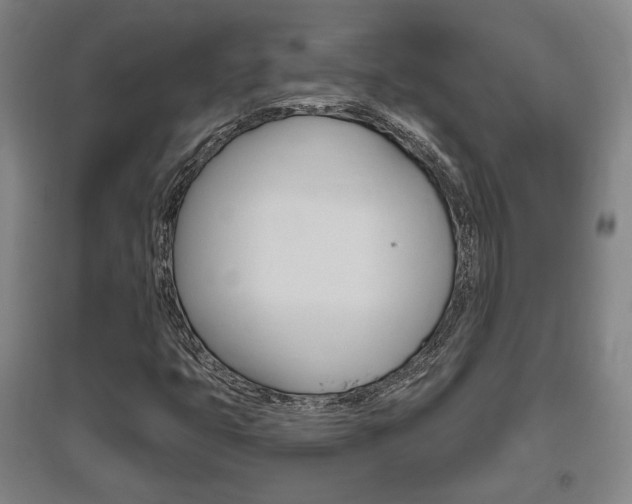 X0000095921399200801110843