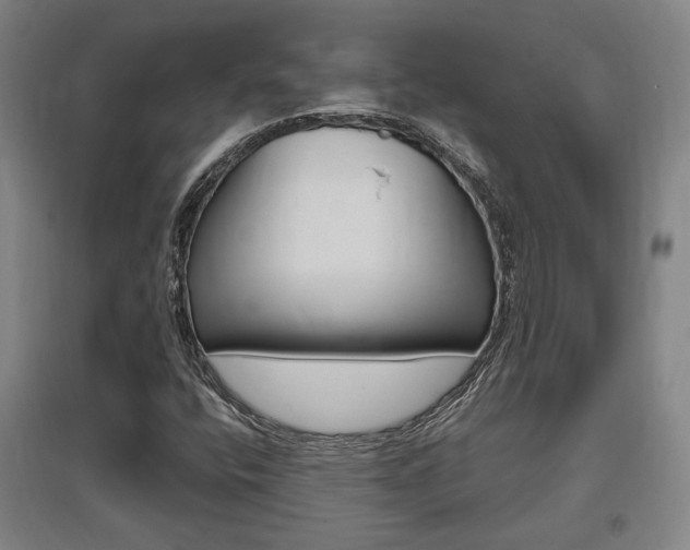 X0000095921400200801110843