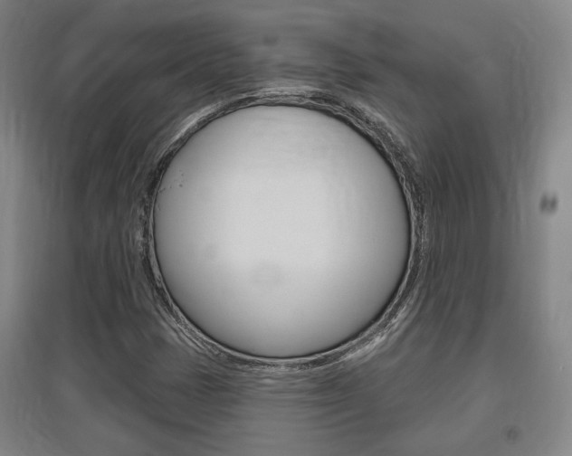 X0000095921401200801110843