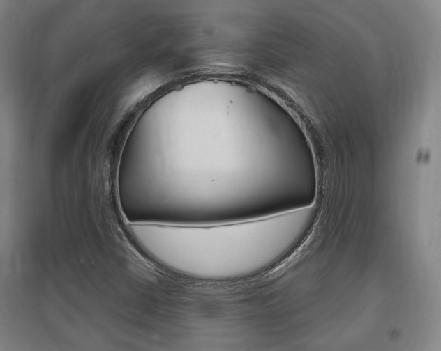 X0000095921402200801110843