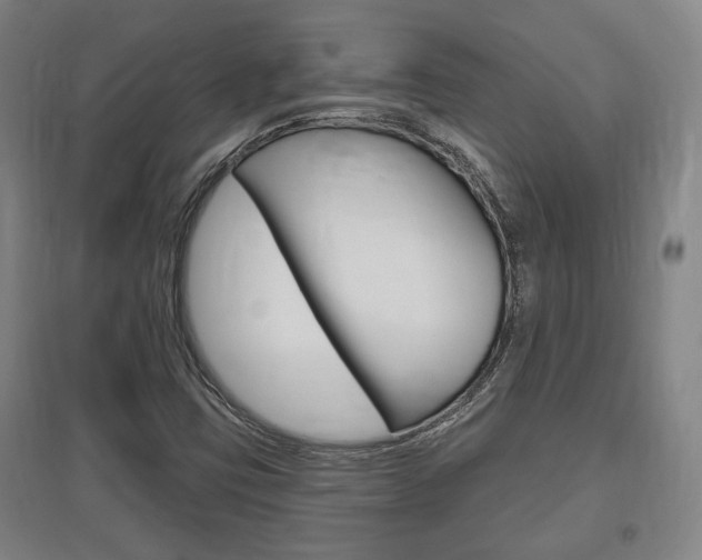 X0000095921403200801110843