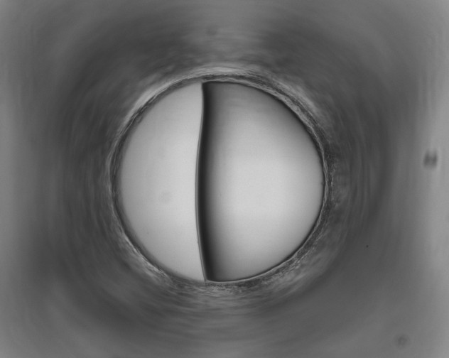 X0000095921404200801110843