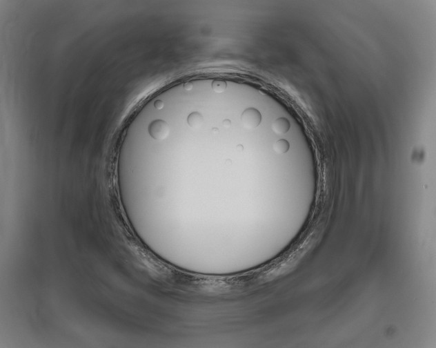 X0000095921405200801110843