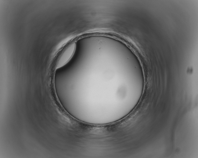 X0000095921406200801110843