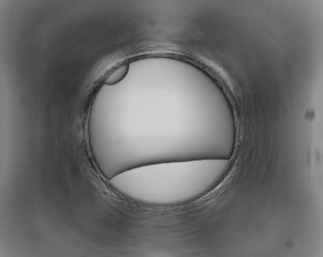 X0000095921407200801110843