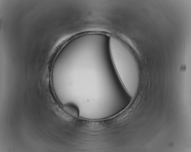 X0000095921408200801110843