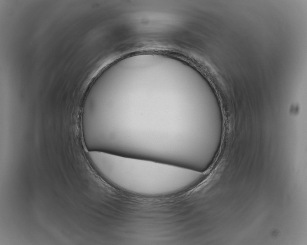 X0000095921409200801110843