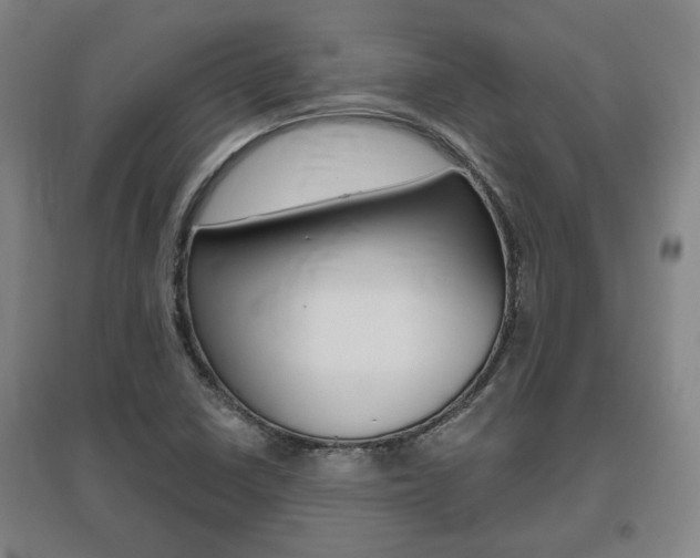 X0000095921410200801110844
