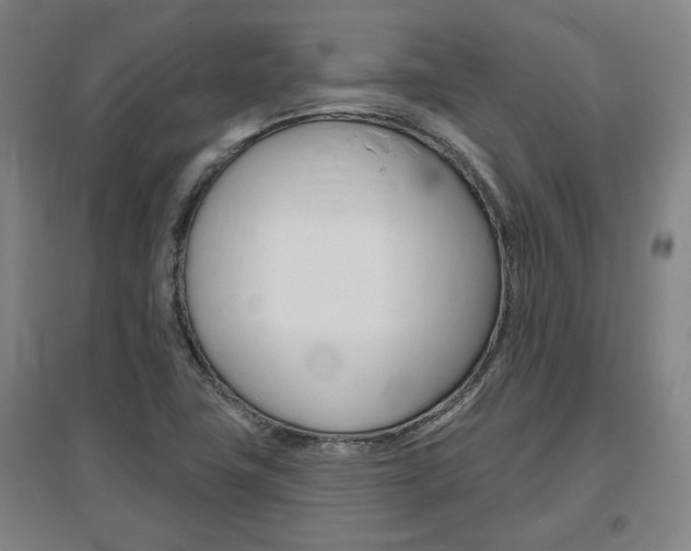 X0000095921411200801110844
