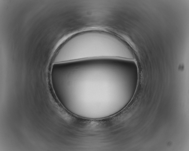 X0000095921412200801110844