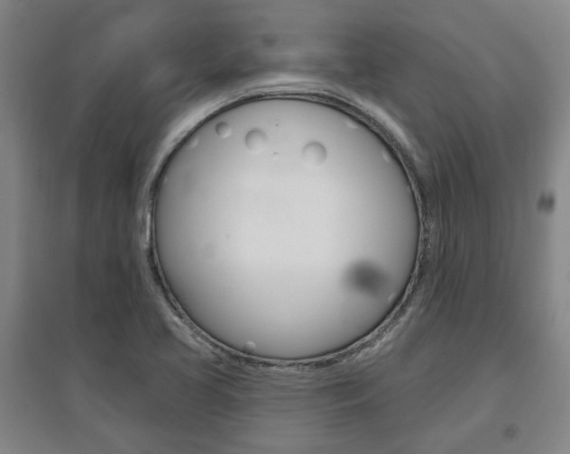 X0000095921413200801110844