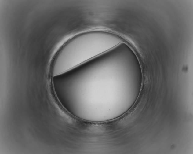 X0000095921414200801110844