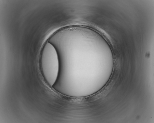 X0000095921415200801110844