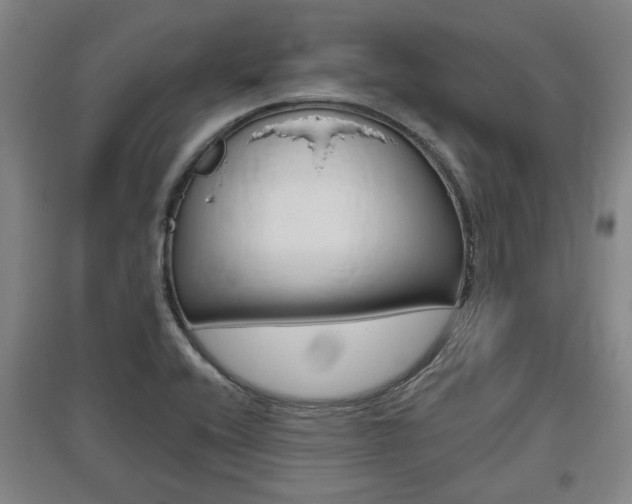 X0000095921416200801110844