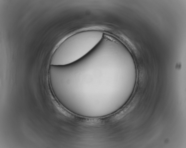 X0000095921417200801110844