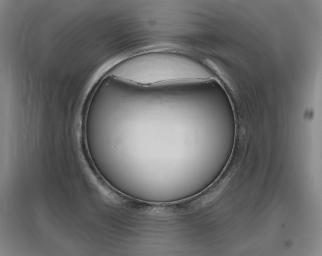 X0000095921418200801110844