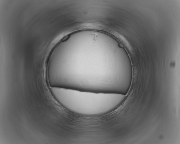X0000095921419200801110844