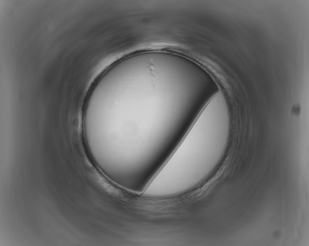 X0000095921420200801110844