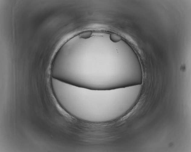 X0000095921421200801110844