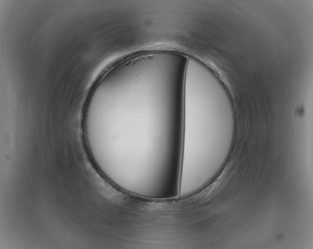 X0000095921422200801110844