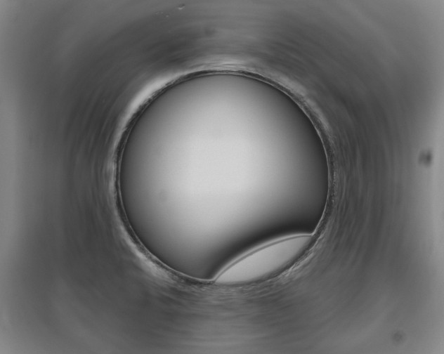 X0000095921424200801110844