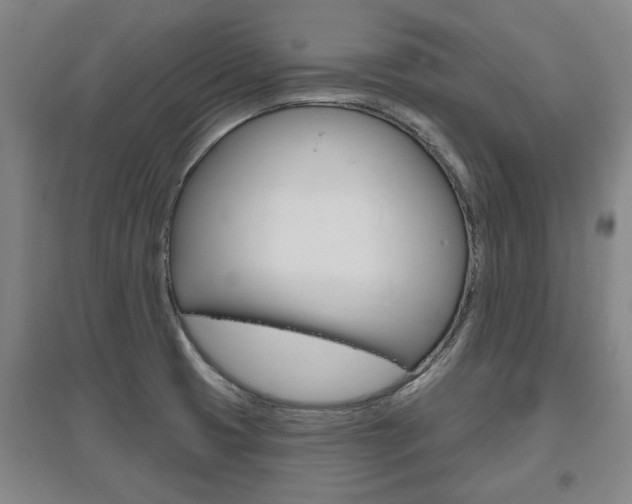 X0000095921425200801110844