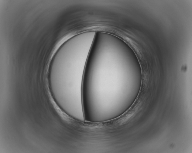X0000095921426200801110844