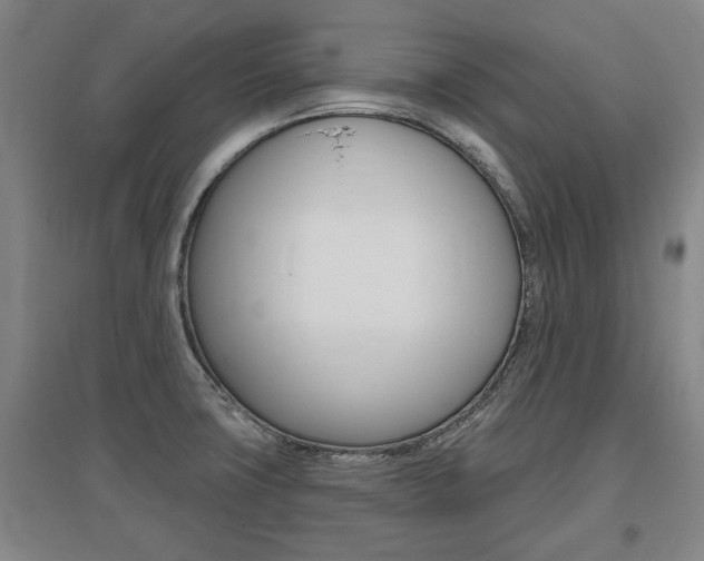 X0000095921427200801110844
