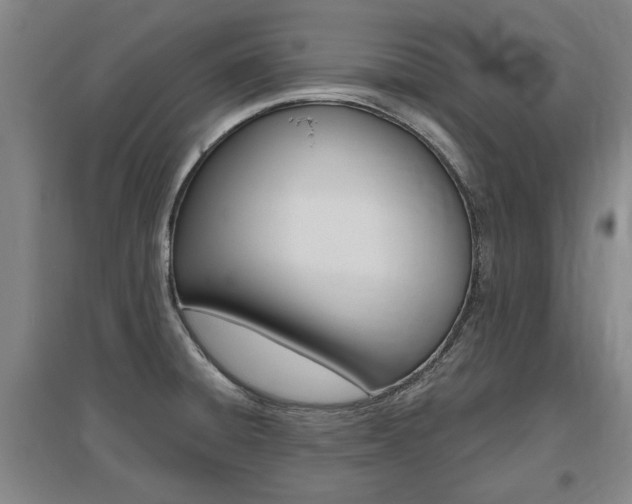 X0000095921428200801110844