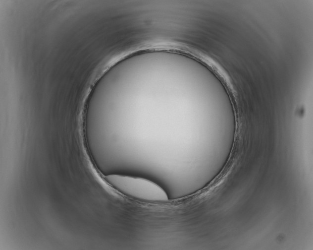 X0000095921429200801110844