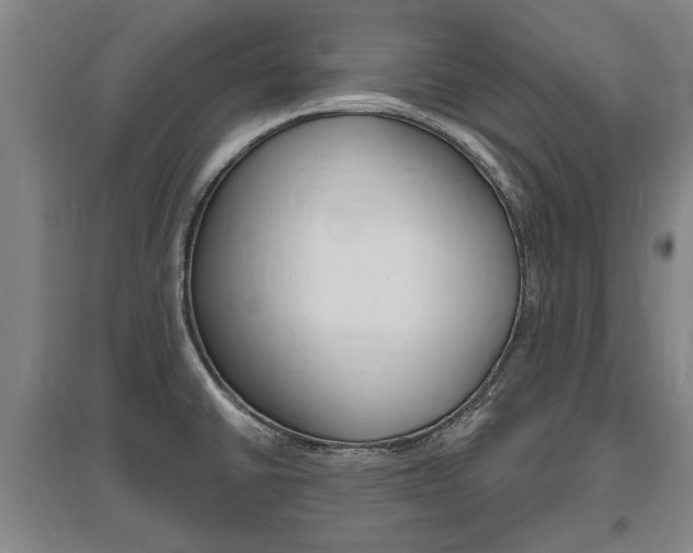 X0000095921430200801110844