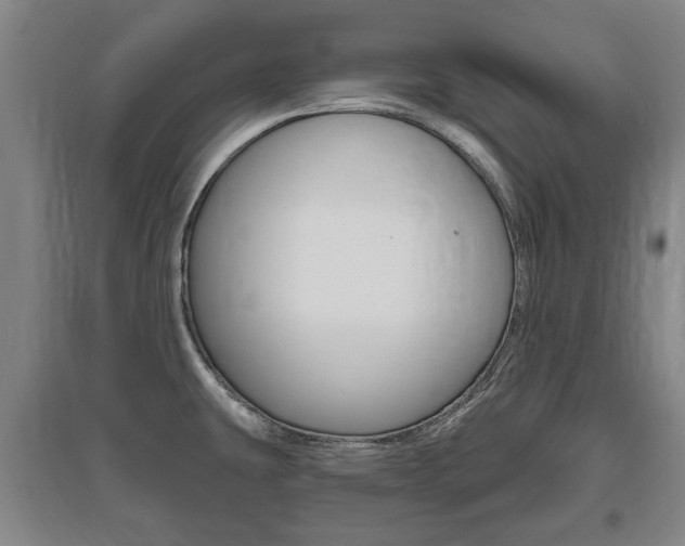 X0000095921431200801110844
