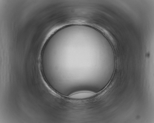 X0000095921432200801110844