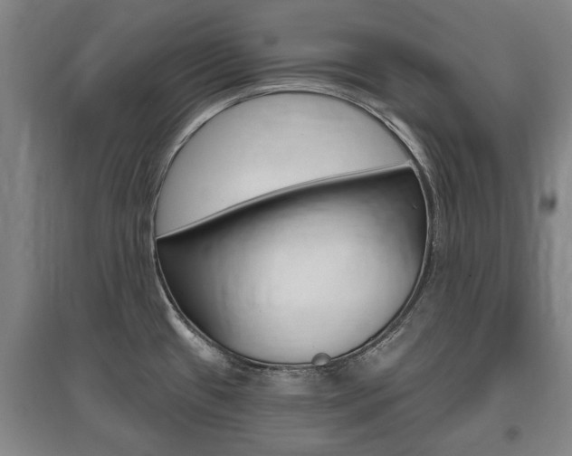 X0000095921433200801110844