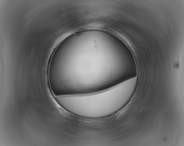 X0000095921434200801110844