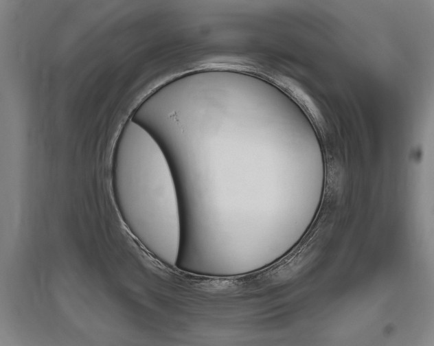 X0000095921435200801110844