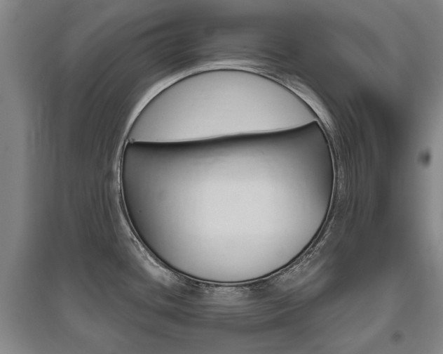 X0000095921436200801110844