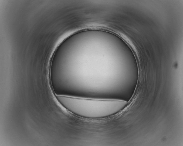X0000095921437200801110844