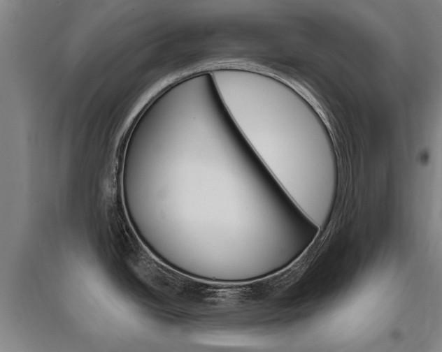 X0000095921438200801110844