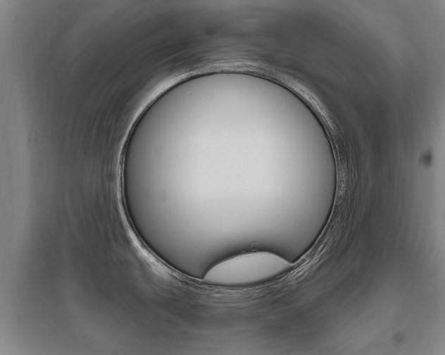 X0000095921439200801110844