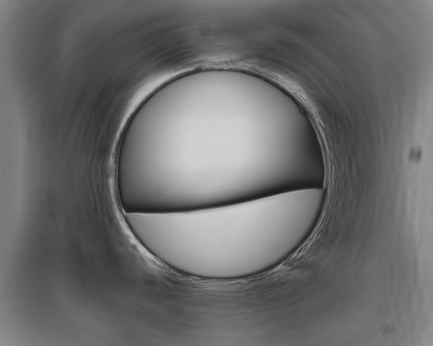 X0000095921440200801110844