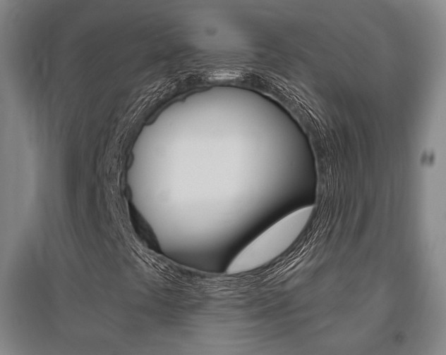 X0000095921441200801110843