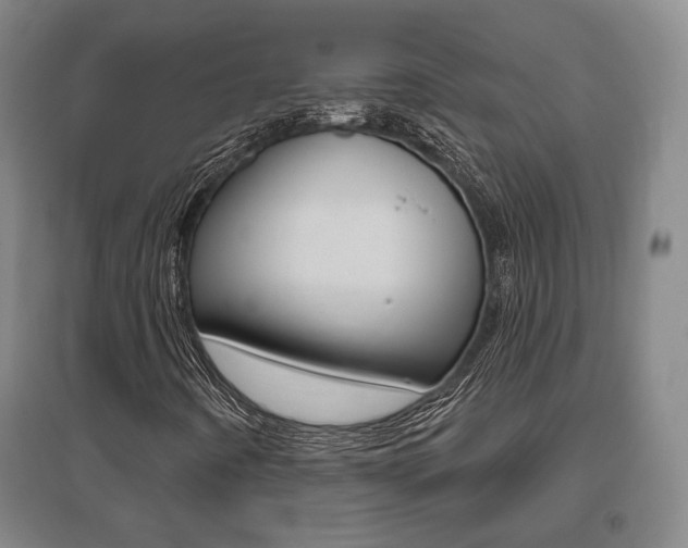 X0000095921442200801110843