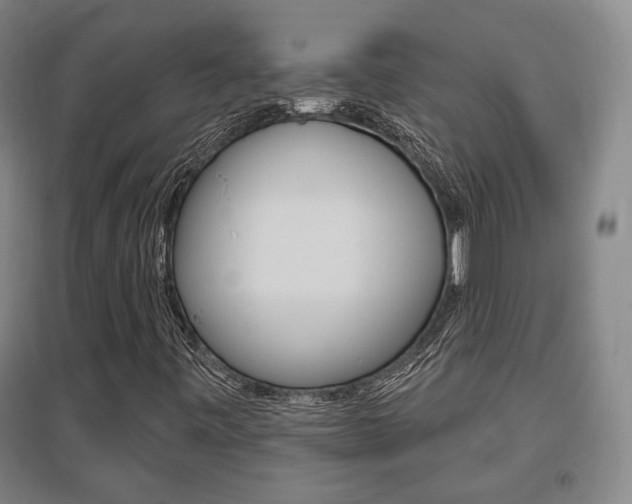 X0000095921443200801110843