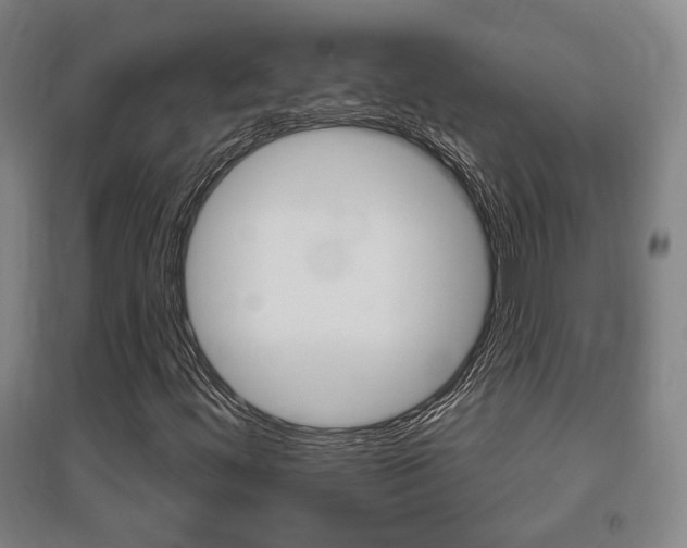 X0000095921444200801110843