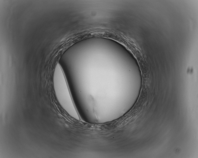 X0000095921445200801110843